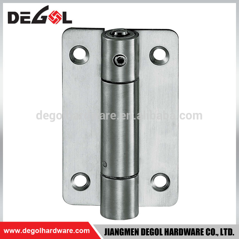 Bisagra de puerta bidireccional con resorte de acero inoxidable de doble acción del proveedor de China