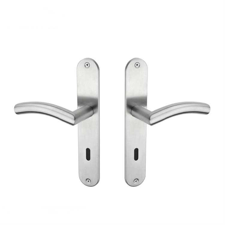 Manija de puerta de latón de nueva llegada con cubiertas de placa posterior