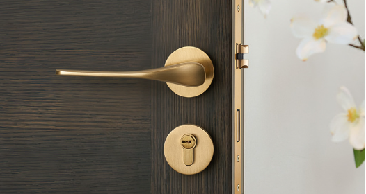 Cerradura de puerta: el núcleo del hardware de seguridad