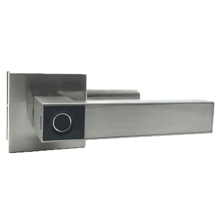 Cerradura de puerta inteligente con huella dactilar DBL1207, perilla de puerta biométrica, cerraduras de puerta de entrada sin llave para hogares