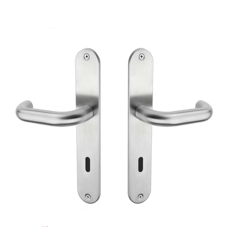 Manija de puerta de latón de nueva llegada con cubiertas de placa posterior