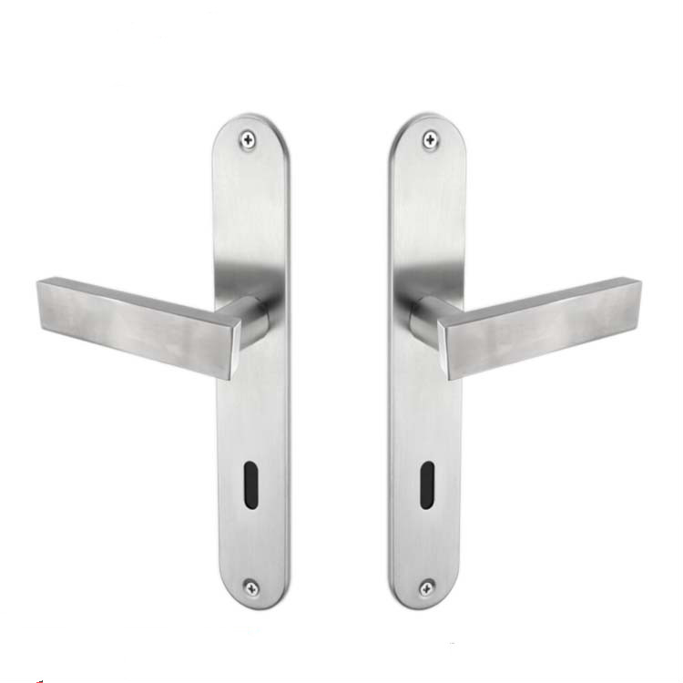 Manija de puerta de latón de nueva llegada con cubiertas de placa posterior